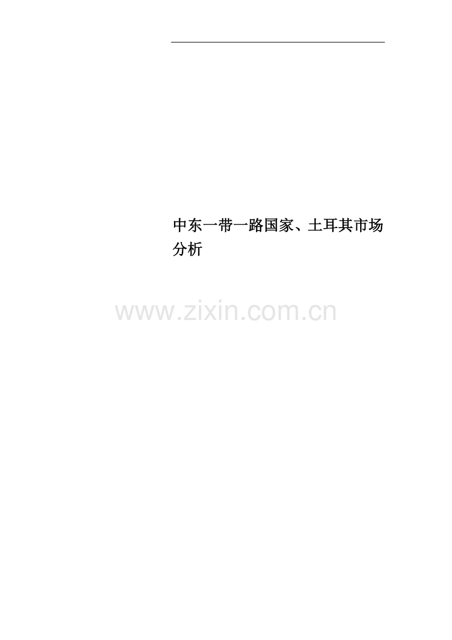 中东一带一路国家、土耳其市场分析.docx_第1页