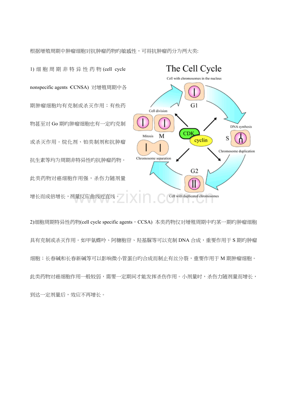 肿瘤治疗基本知识.doc_第3页