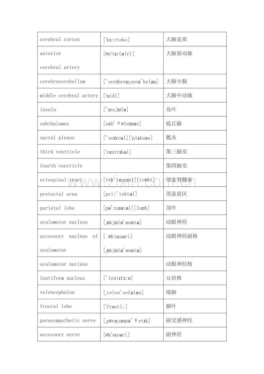 神经外科英文词汇.doc_第2页