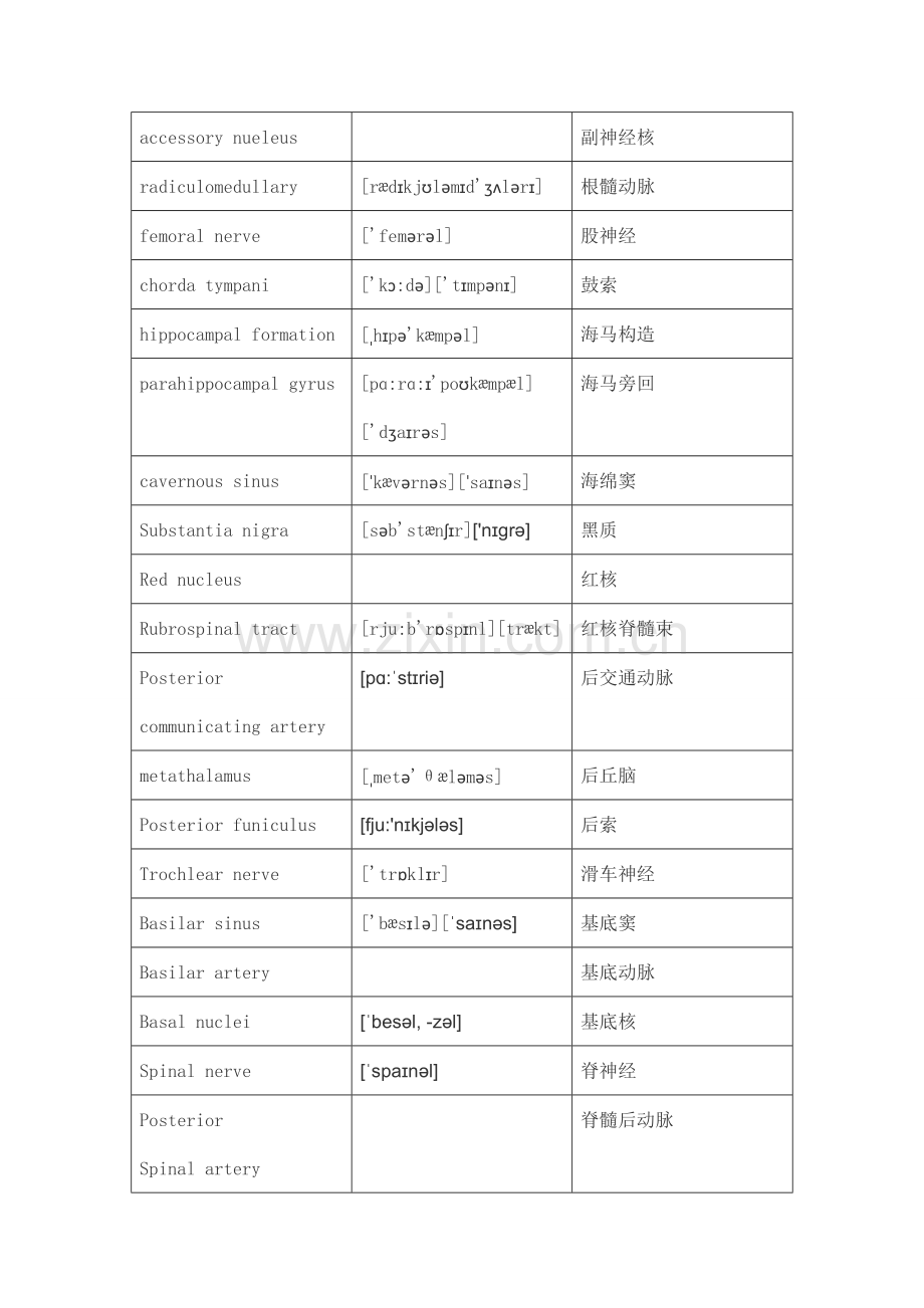 神经外科英文词汇.doc_第3页