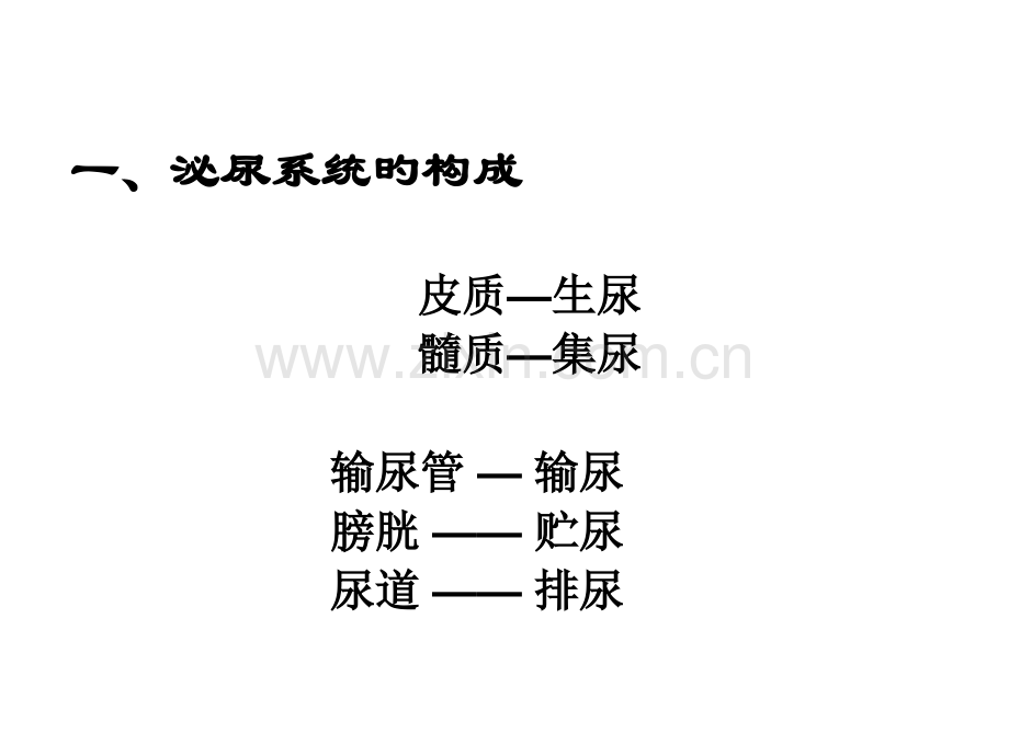 七年级生物泌尿系统公开课一等奖市赛课一等奖课件.pptx_第3页