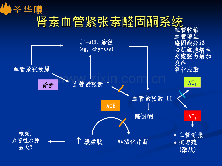 ARB：冉冉之星-治疗心衰.ppt_第1页