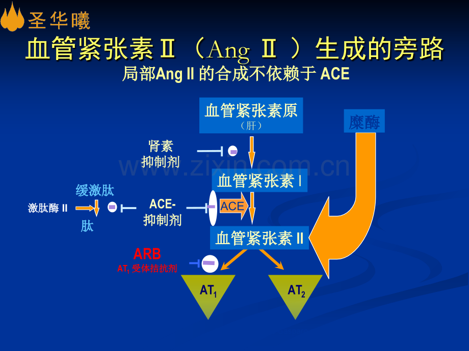 ARB：冉冉之星-治疗心衰.ppt_第2页