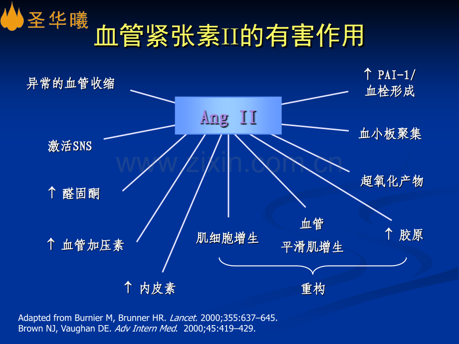 ARB：冉冉之星-治疗心衰.ppt_第3页