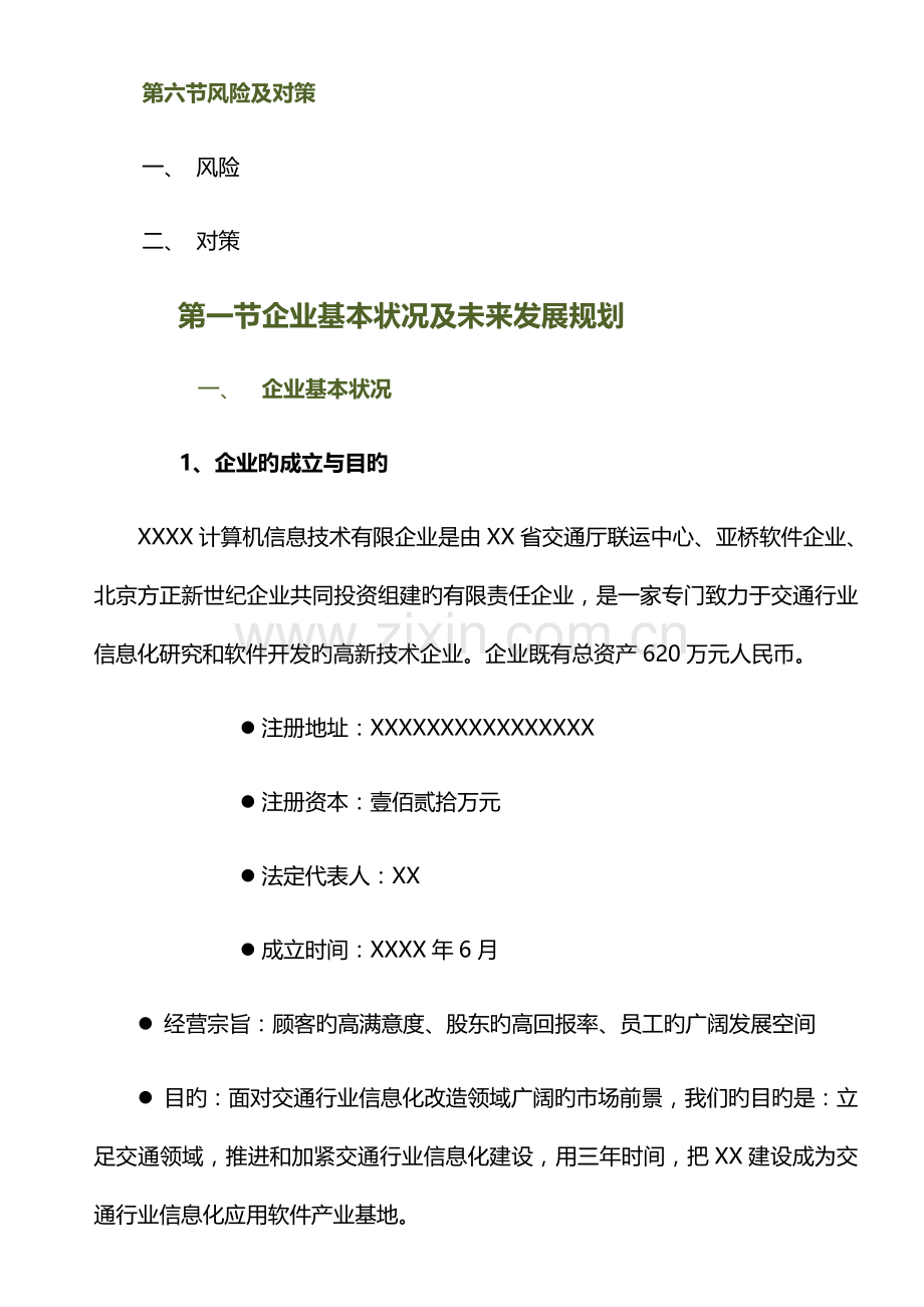 商业融资计划方案.doc_第3页