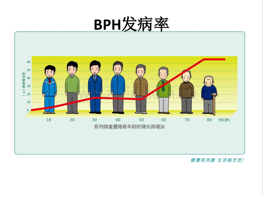 BPH药物治疗课件.ppt_第2页