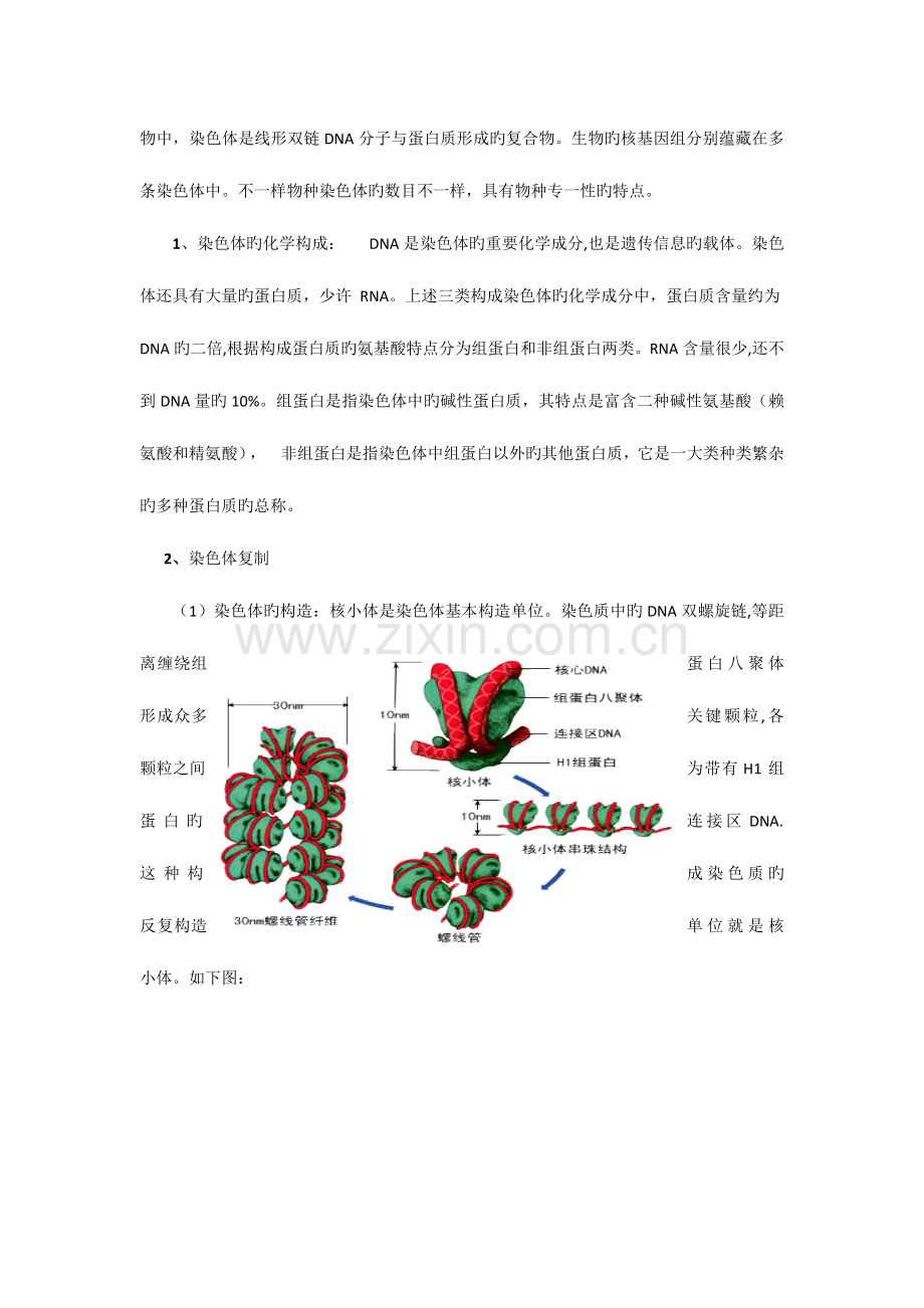 2023年高中生物奥林匹克竞赛辅导专题突破之细胞增殖与遗传.doc_第3页