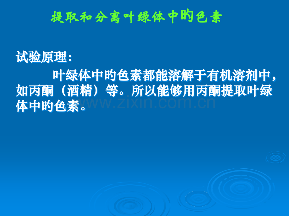 人教版教学云南省弥勒县庆来中学学年高一生物捕获光能的色素和结构公开课一等奖市赛课获奖课件.pptx_第3页