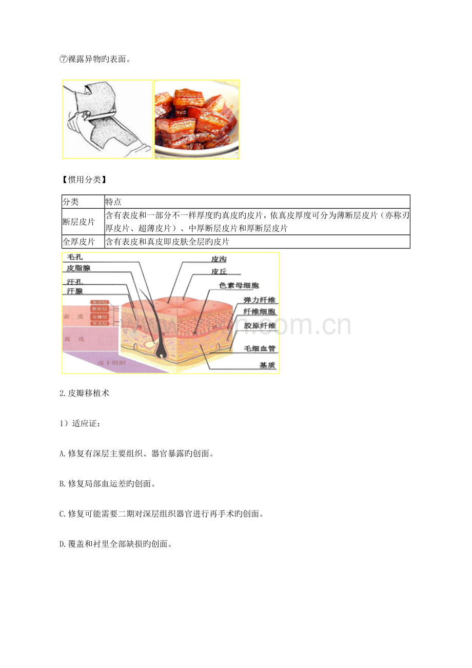 整形外科考点总结.doc_第3页