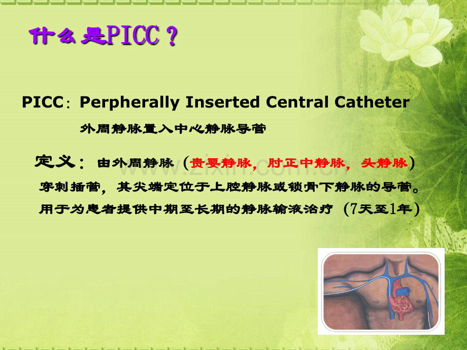 业务学习PICC吴彩玉课件.ppt_第1页