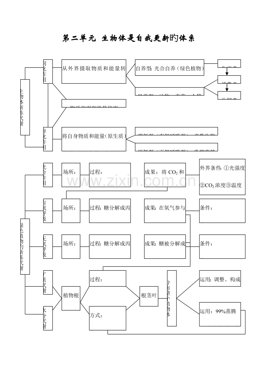 2023年高中生物所有知识点详细总结.doc_第3页