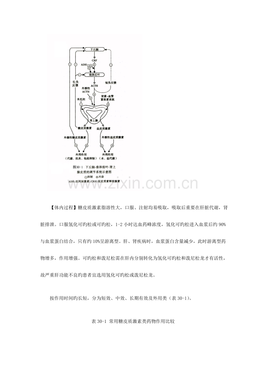 第三十章肾上腺皮质激素类药汇总.doc_第3页