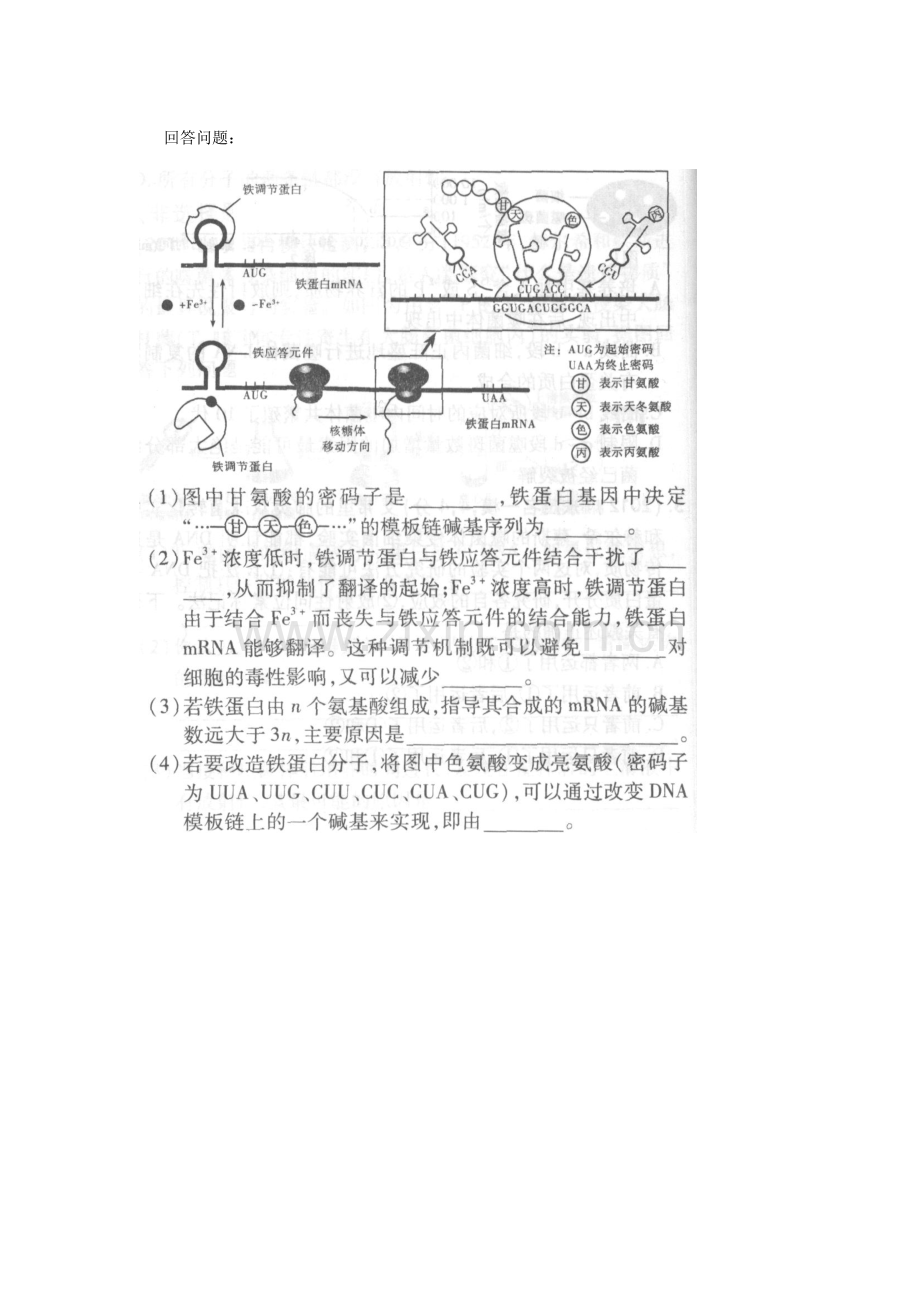 2023年高考生物基因的表达考点汇总含高考真题解析.doc_第3页