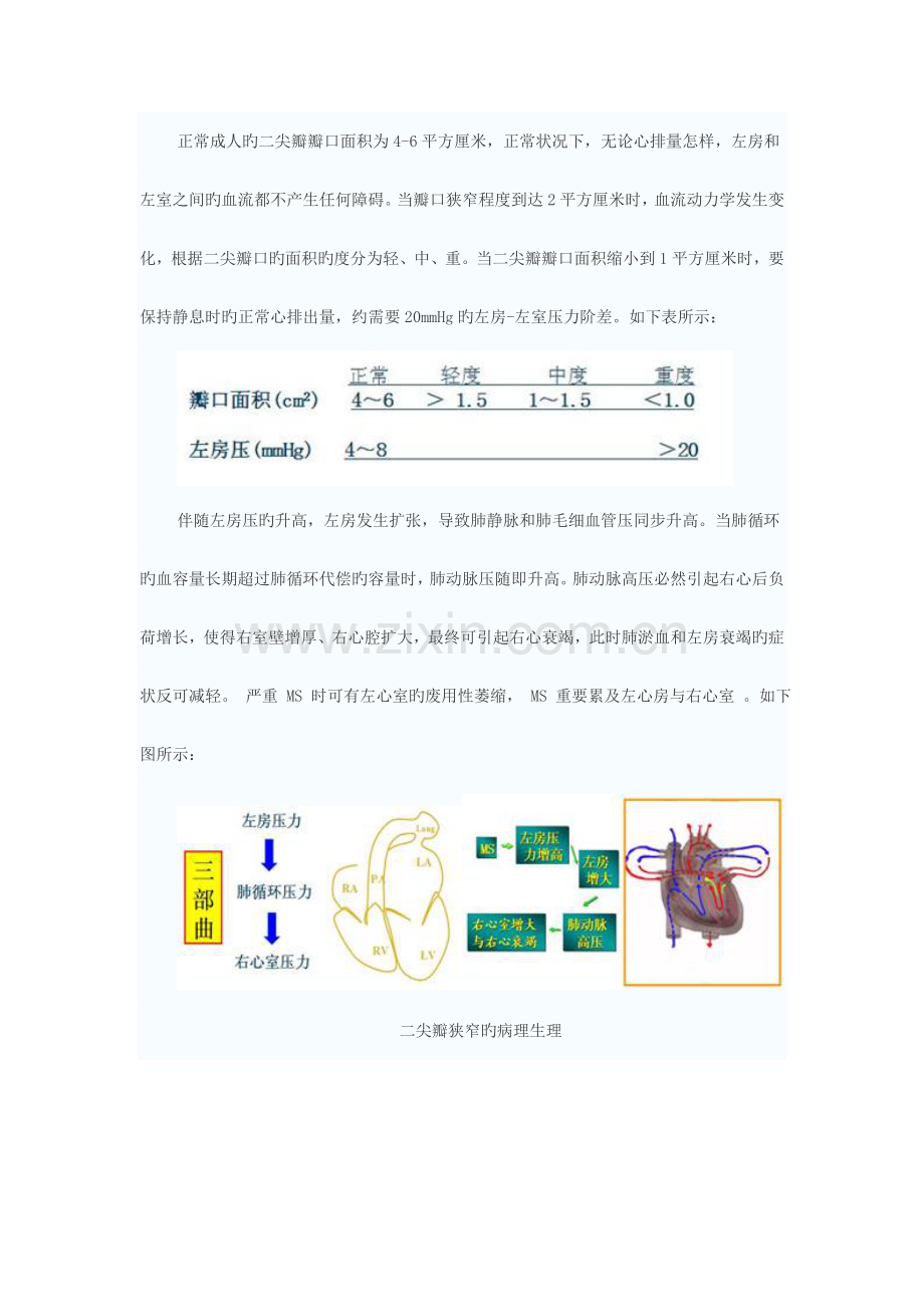 心脏瓣膜病的病理生理与诊断.doc_第3页