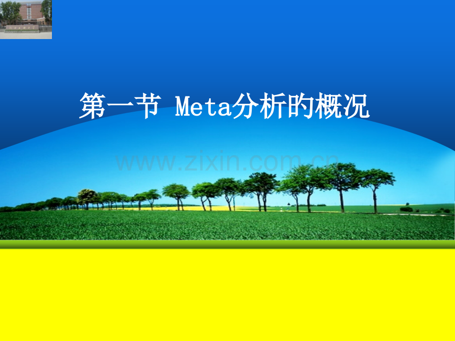 meta分析解读专题知识讲座.pptx_第3页