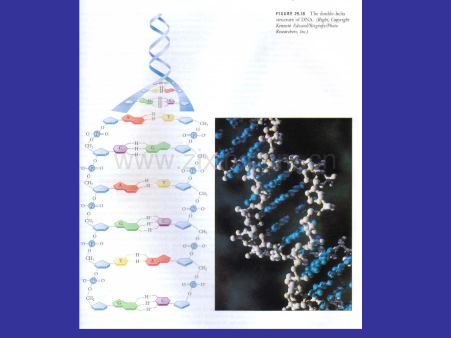 高分子物理和化学4公开课一等奖市赛课一等奖课件.pptx_第2页