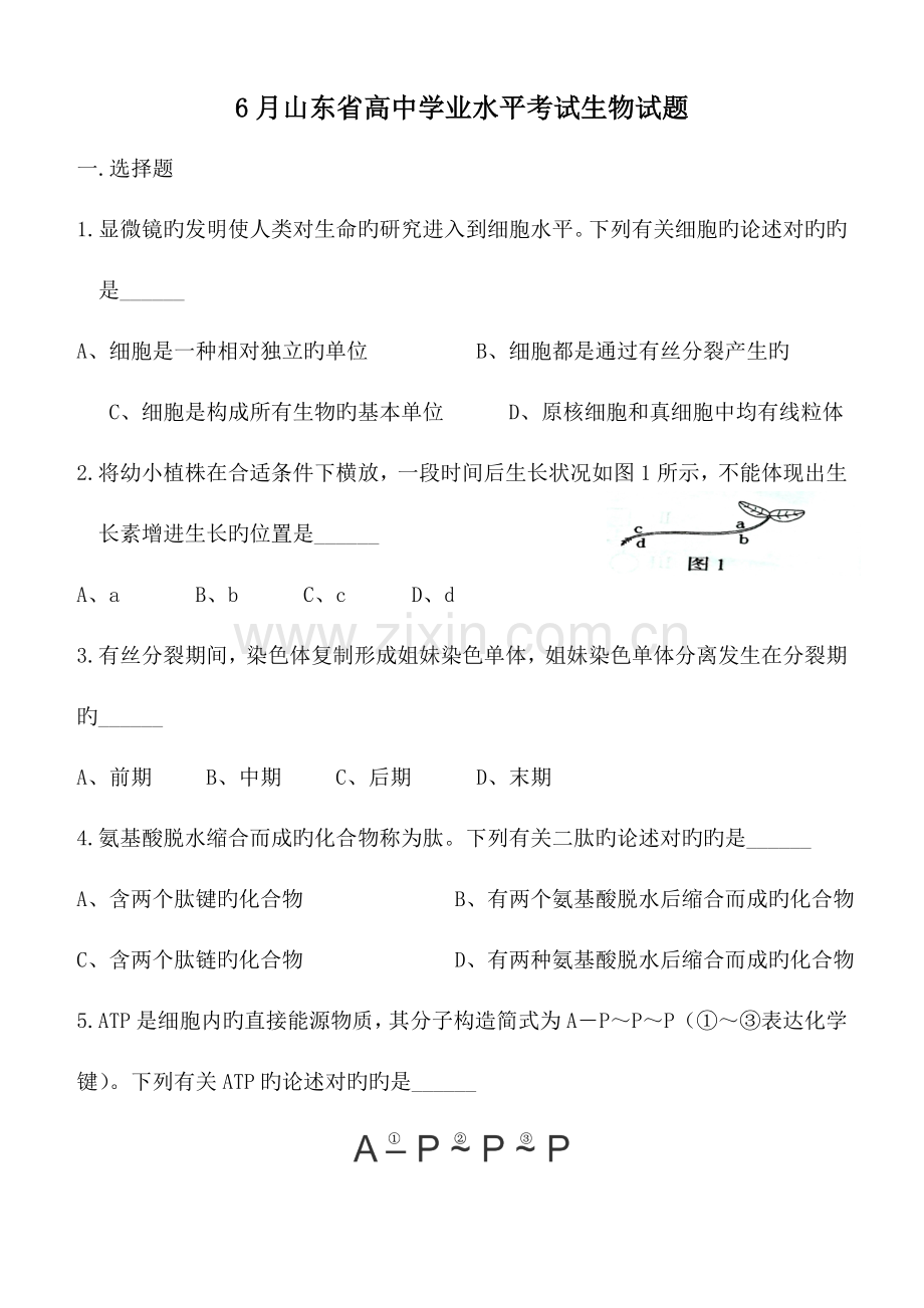 2023年山东省夏季普通高中学业水平考试会考生物试题及答案精较版.doc_第1页