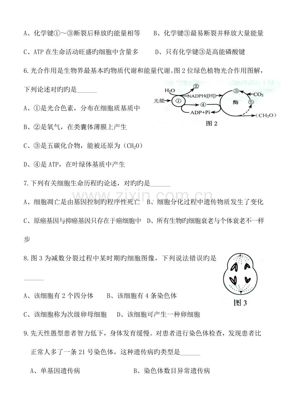 2023年山东省夏季普通高中学业水平考试会考生物试题及答案精较版.doc_第2页