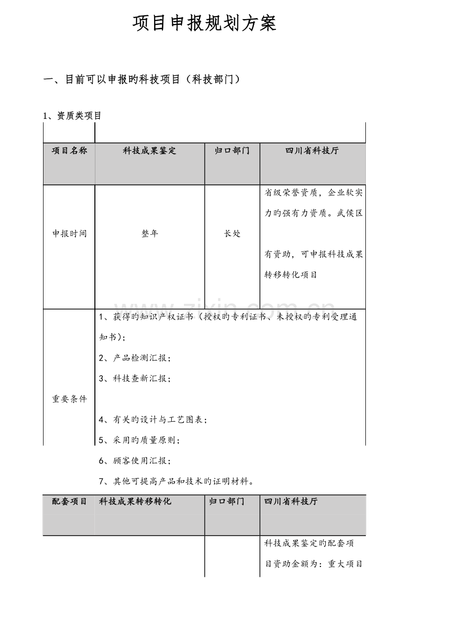 项目申报规划方案.docx_第1页