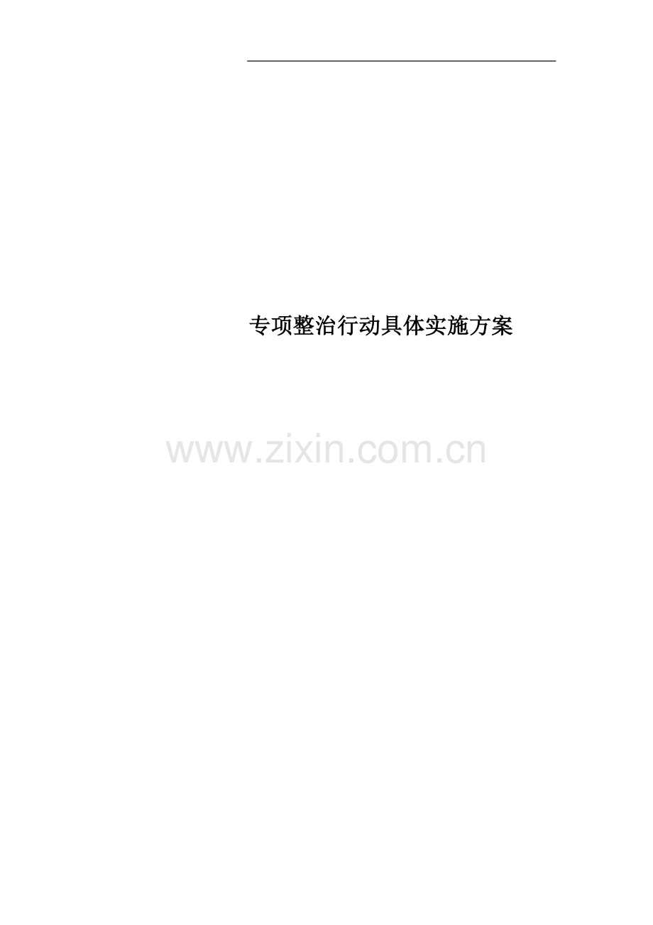 专项整治行动具体实施方案.doc_第1页