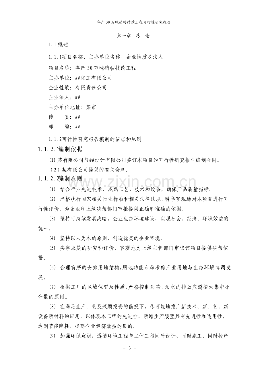 年产30万吨硝铵技改工程可行性研究报告.pdf_第3页