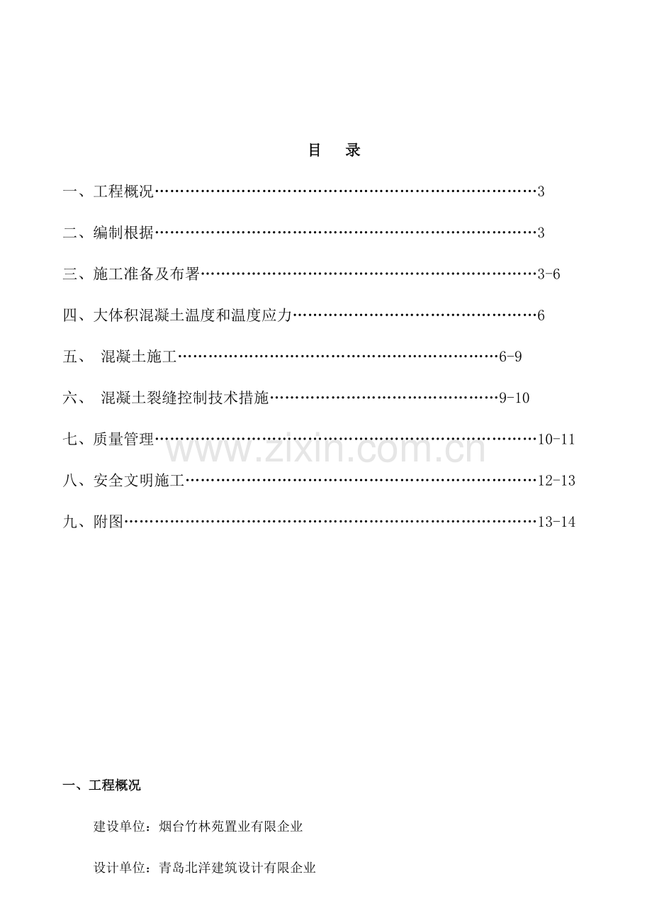 混凝土施工方案分层浇筑.doc_第2页