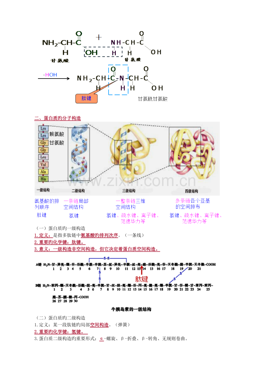 2023年生物化学重点知识点归纳总结.doc_第2页