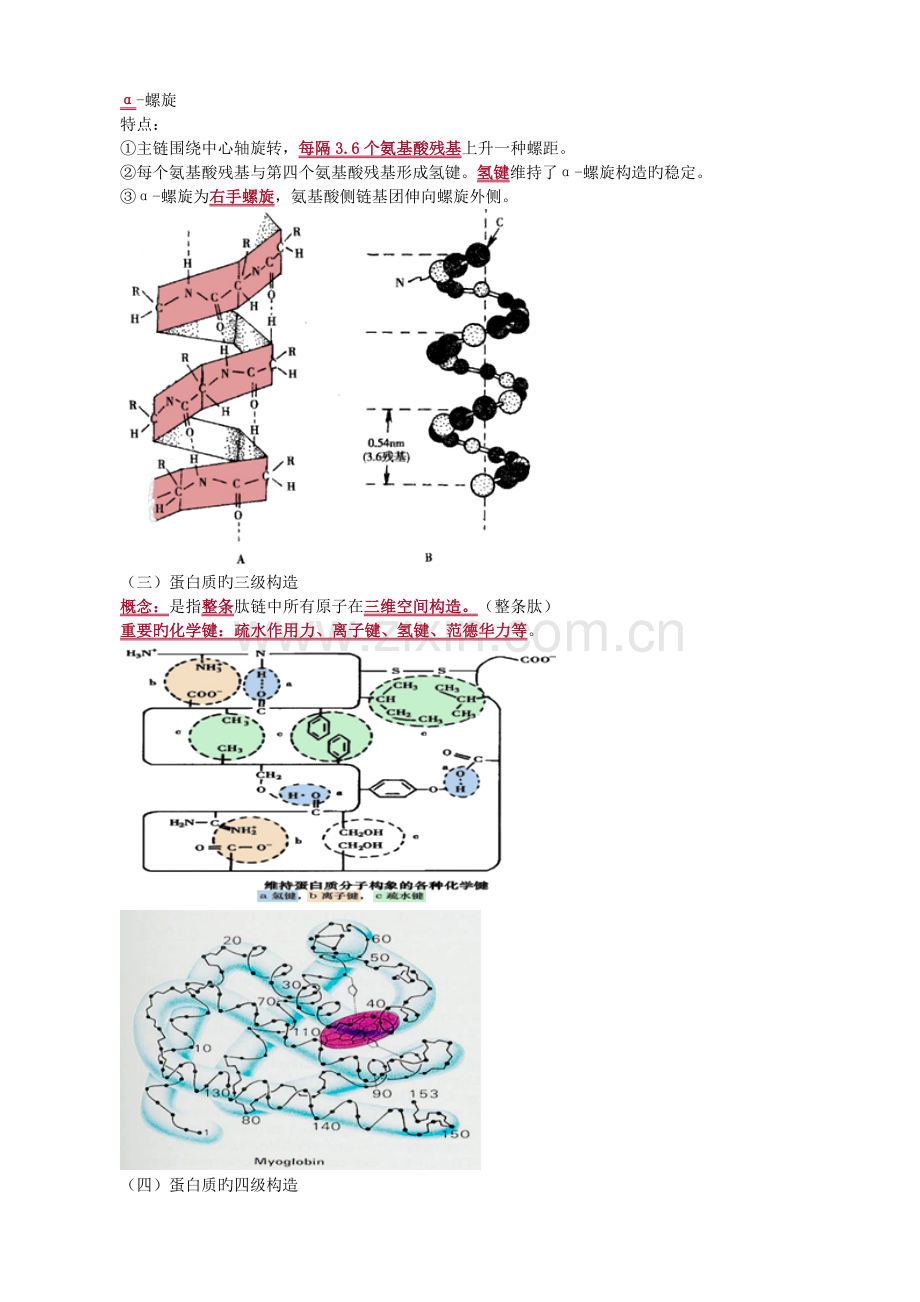 2023年生物化学重点知识点归纳总结.doc_第3页