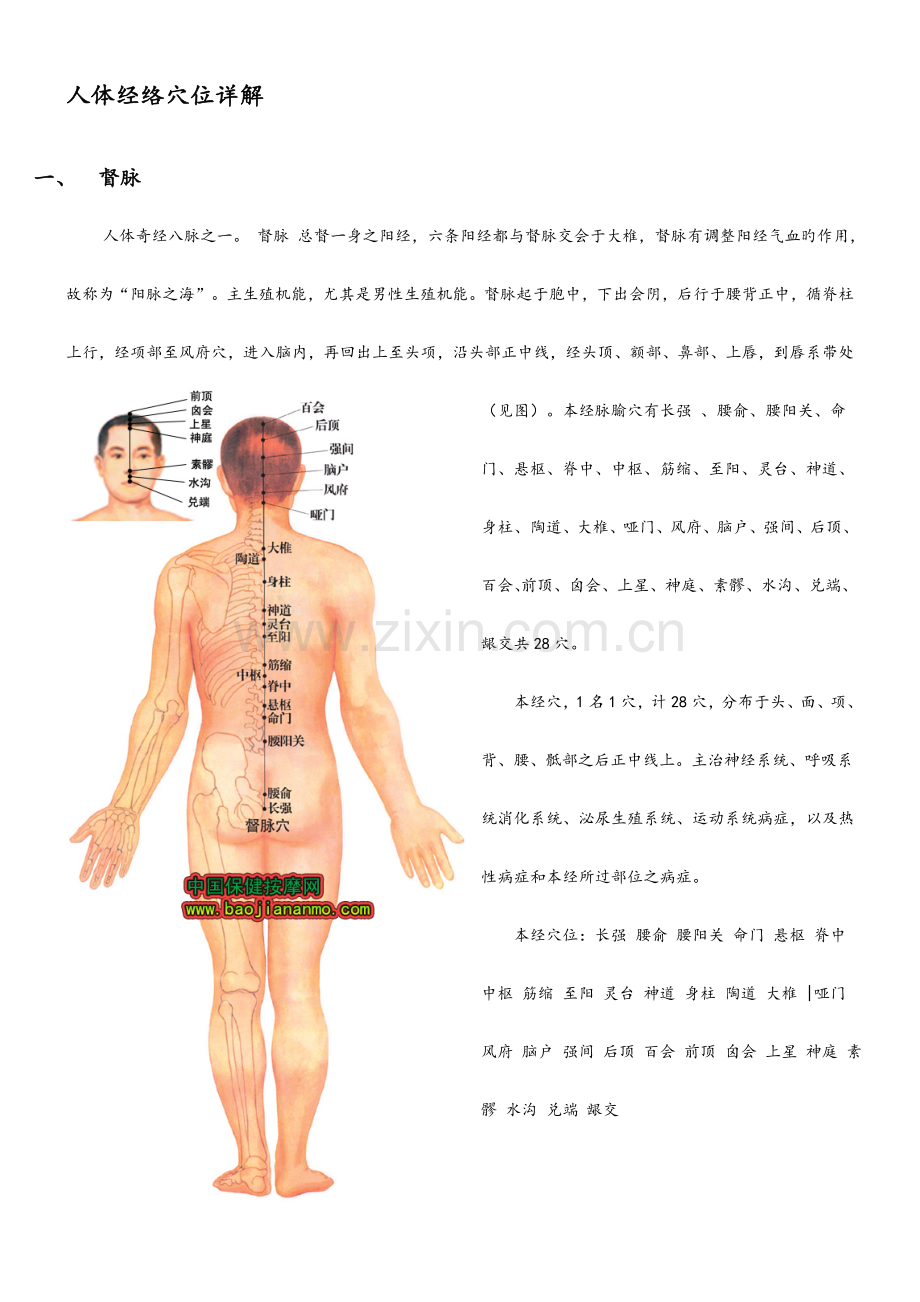 人体经络穴位详解.doc_第1页