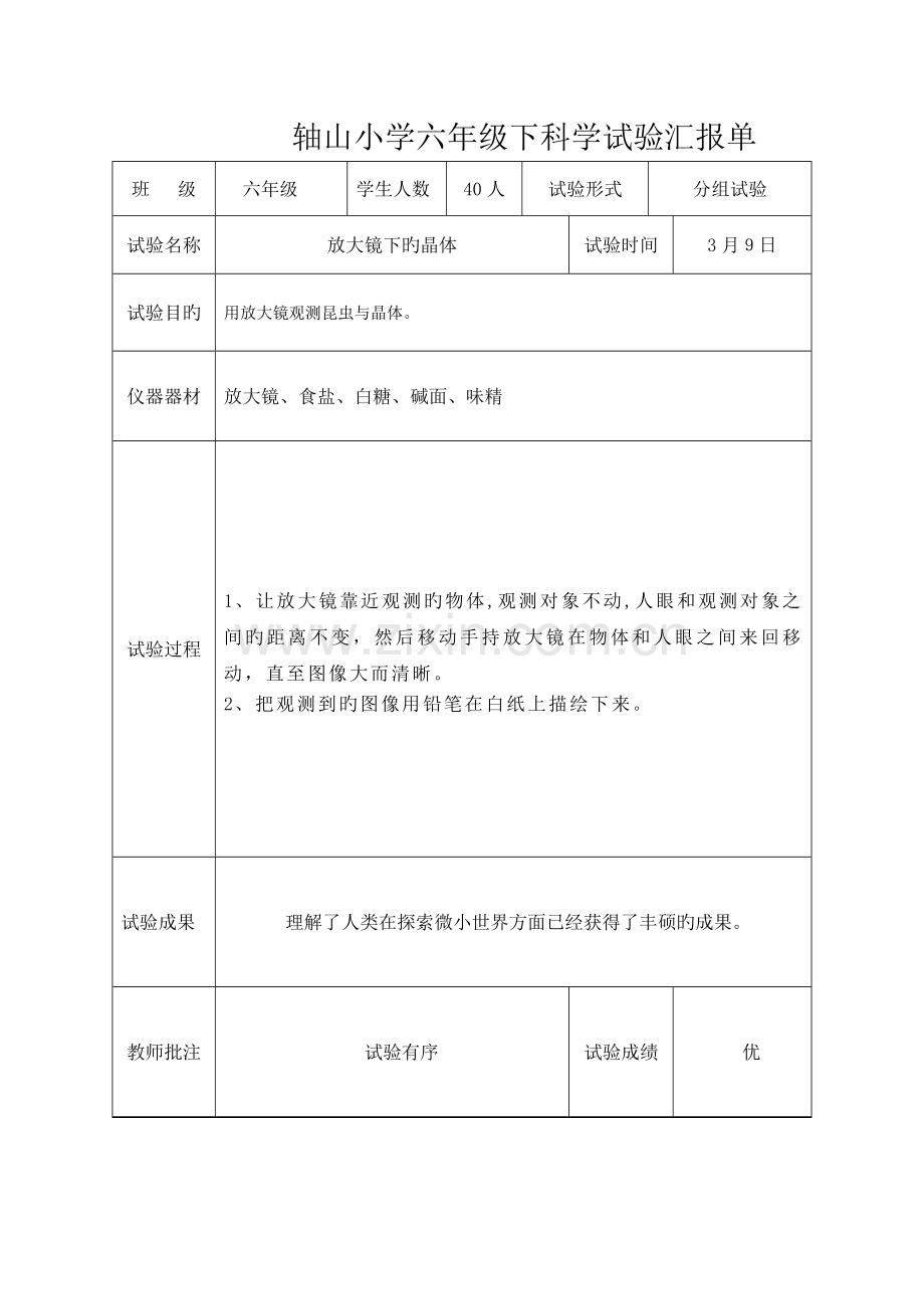 2023年教科版六年级下科学实验报告单新版.doc_第1页