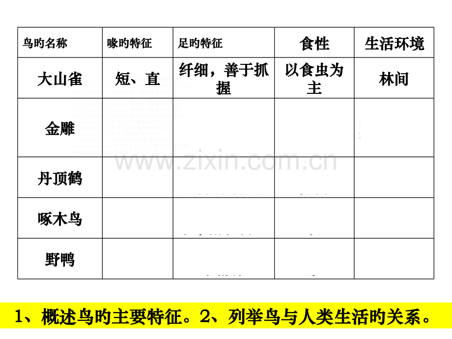 生物鸟主题知识讲座公开课一等奖市赛课获奖课件.pptx_第3页