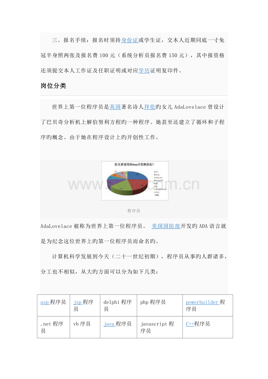 2023年程序员百度百科.doc_第3页