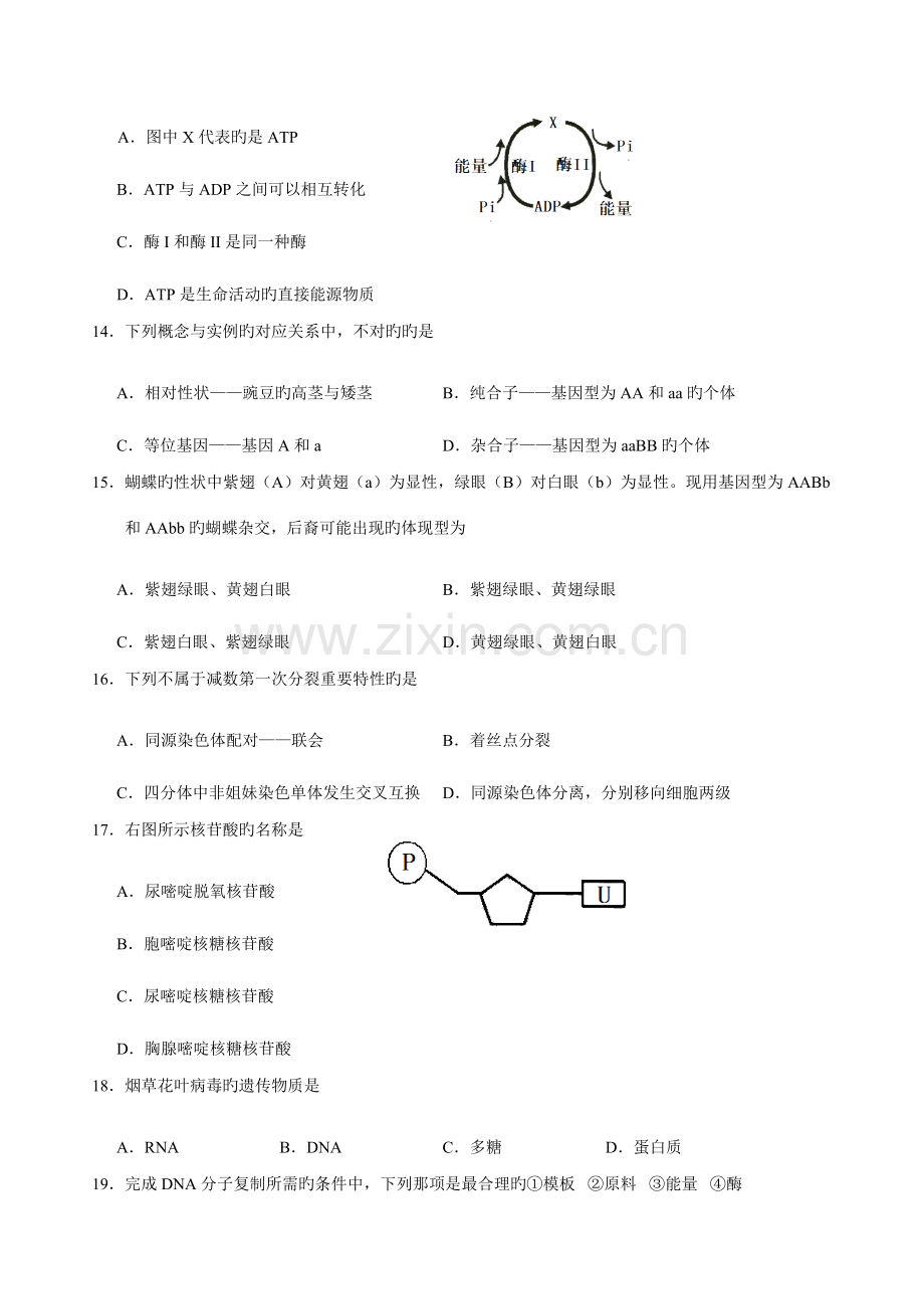 2023年湖南省生物学业水平试题含答案.doc_第3页