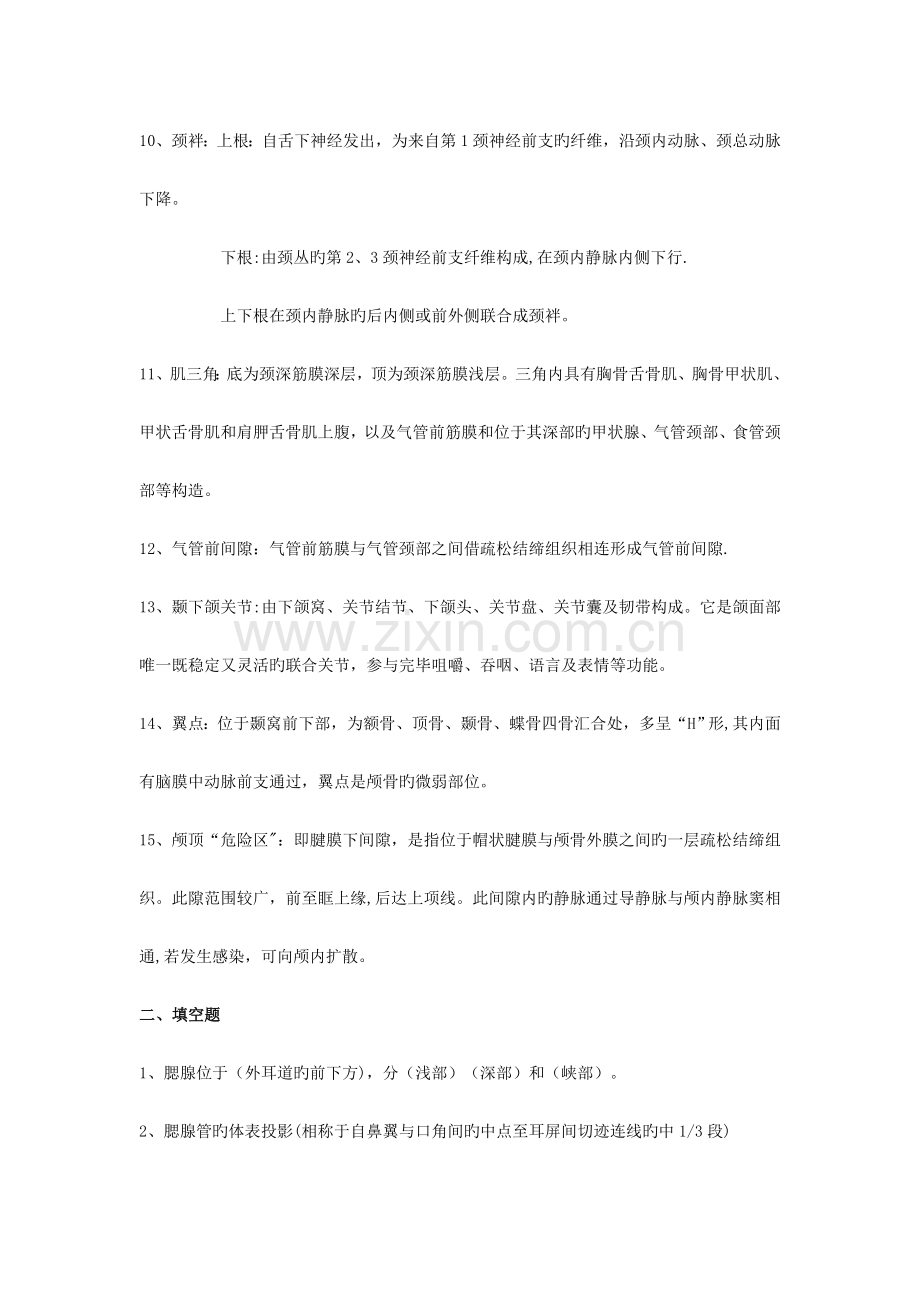 2023年局部解剖学考点总结.doc_第2页