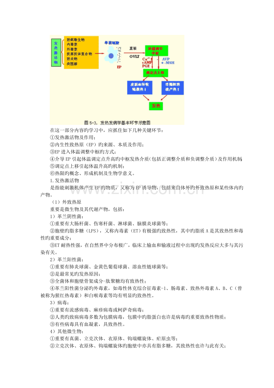 诊断学症状和体征.doc_第2页