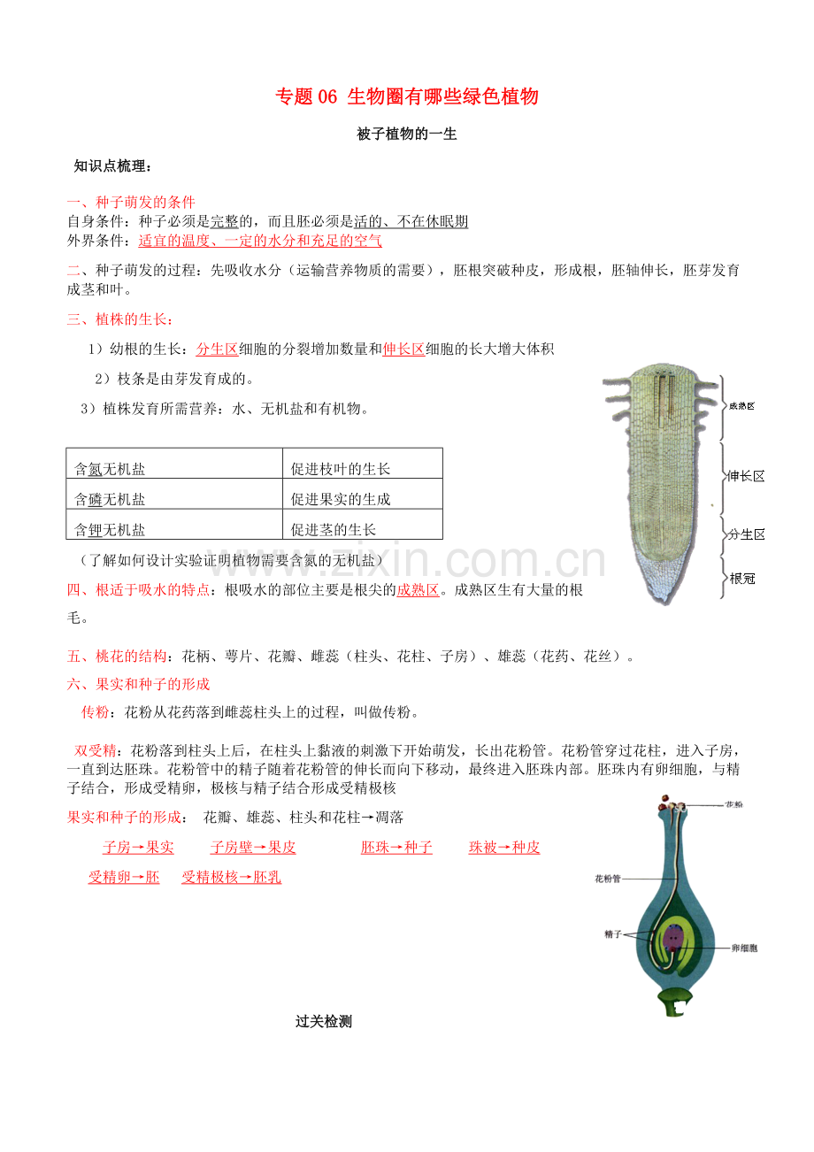 2019_2020学年七年级生物上册专题六被子植物的一生知识梳理及过关检测含解析新版新人教版.doc_第1页