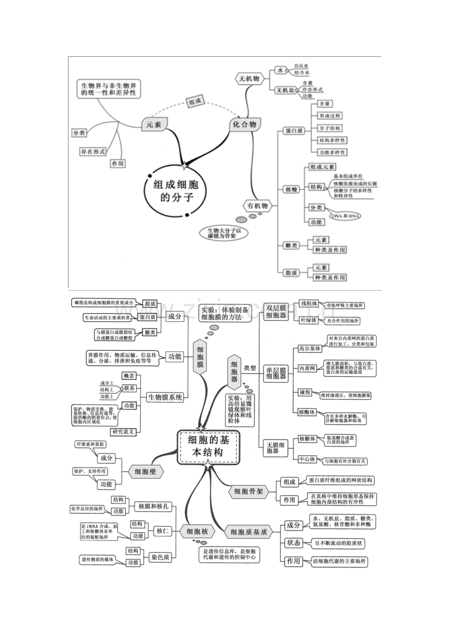 2023年新课标高中生物全套思维导图.doc_第1页