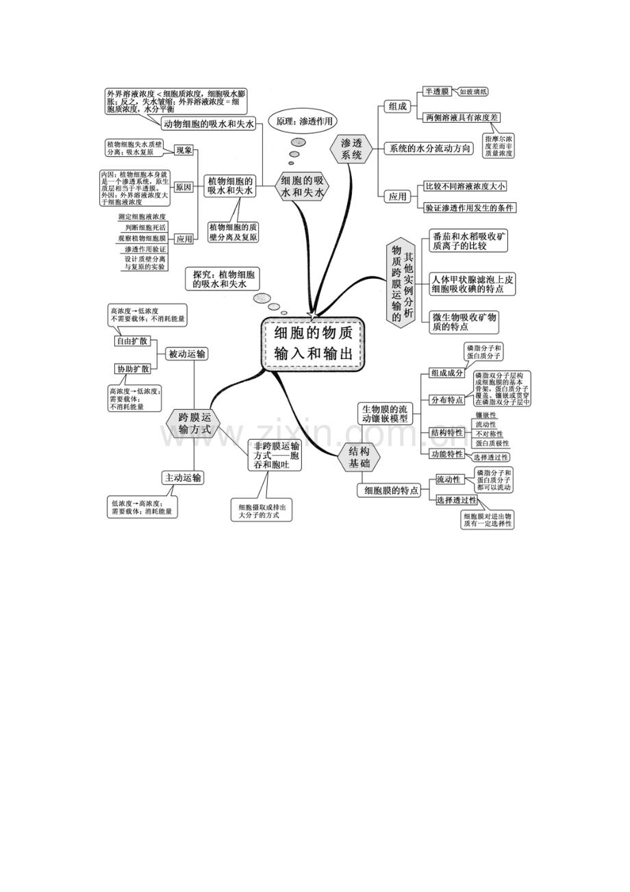 2023年新课标高中生物全套思维导图.doc_第2页