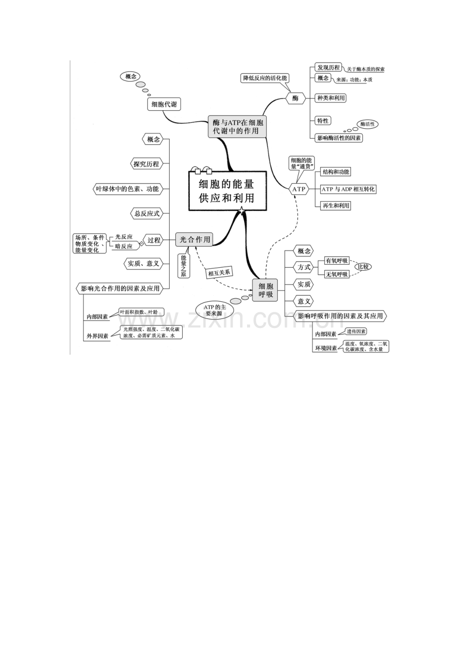 2023年新课标高中生物全套思维导图.doc_第3页