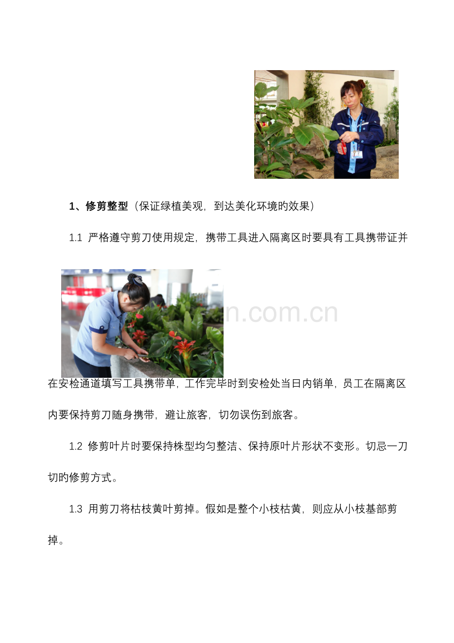 绿植租摆实施计划方案.doc_第2页