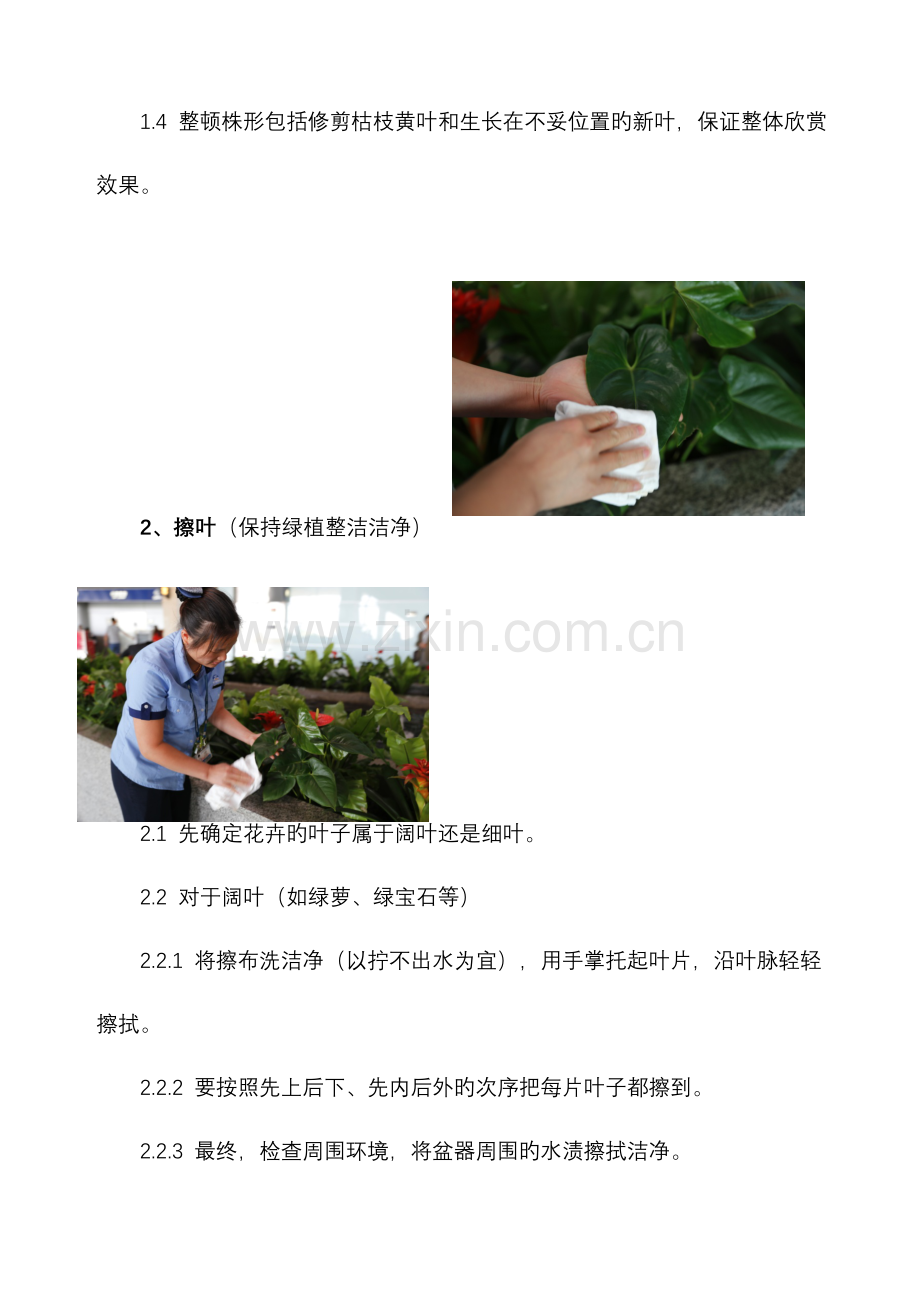 绿植租摆实施计划方案.doc_第3页