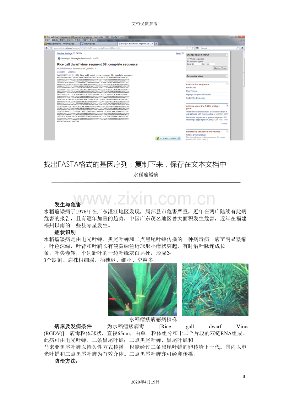 生物信息学课程设计实验报告典型的生物信息学分析模板.doc_第3页