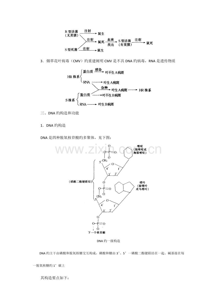 2023年高中生物奥林匹克竞赛教程遗传和变异.doc_第2页