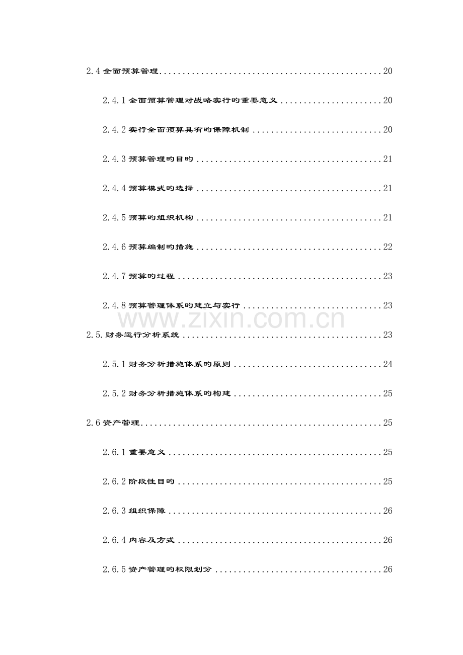 财务职能战略实施规划.doc_第3页