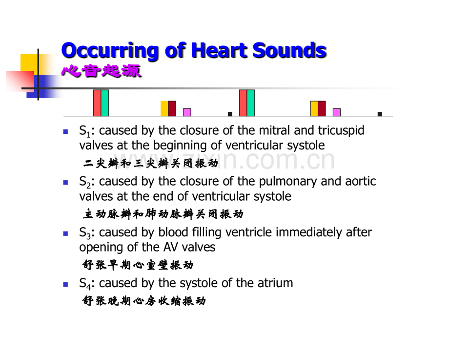 G心脏检查B.ppt_第3页