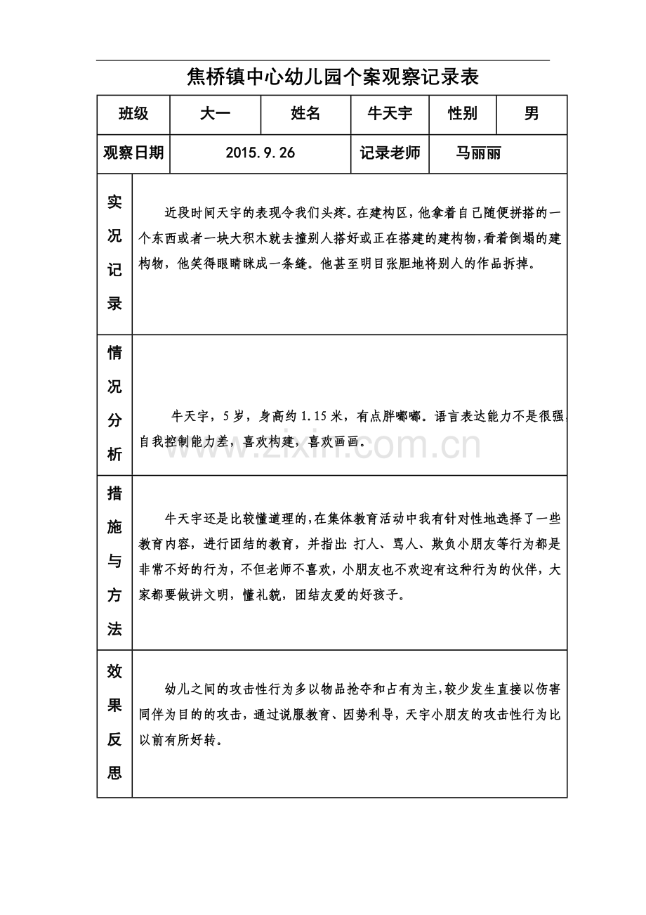 个案观察记录表.doc_第3页