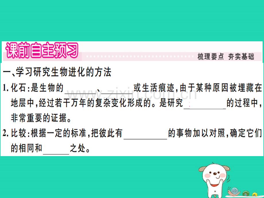 2022春八年级生物下册第七单元第三章第二节生物进化的历程习题.ppt_第1页