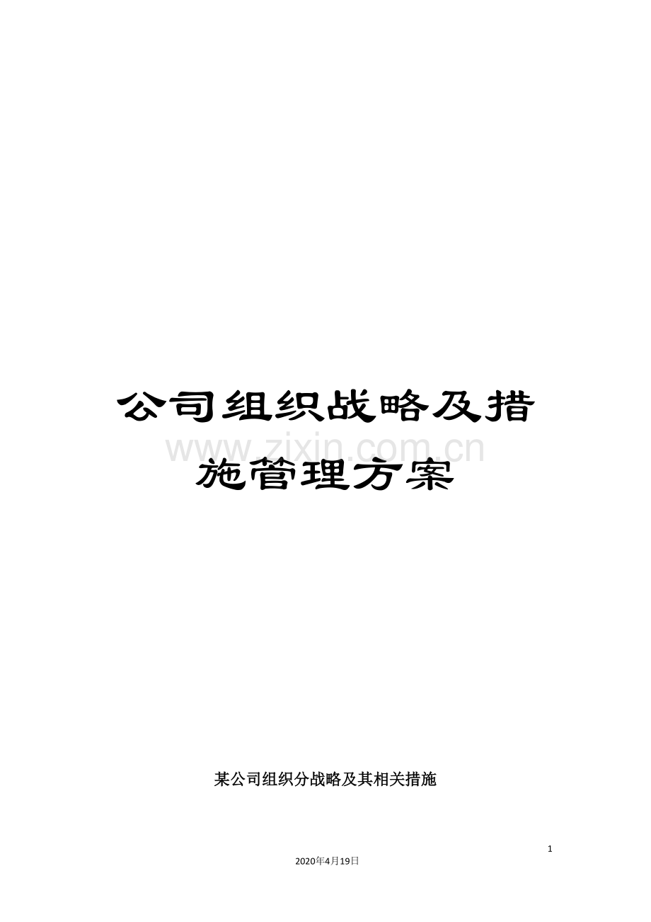 公司组织战略及措施管理方案.doc_第1页