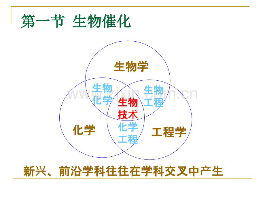 第一章绪论-课件.ppt_第2页