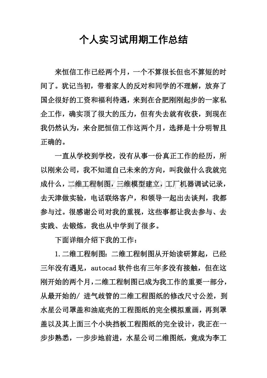 个人实习试用期工作总结.docx_第2页